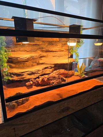 Terrarium en toebehoren, Enlèvement, Comme neuf