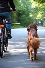 Laisse Velo pour Chien, Ophalen, Gebruikt