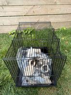 Hamsterkooi (lichte schade), Dieren en Toebehoren, Knaagdieren en Konijnen | Hokken en Kooien, Kooi, Minder dan 75 cm, Zo goed als nieuw