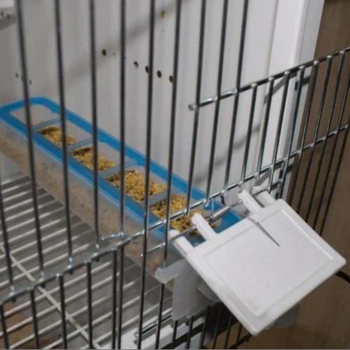 Apollo feeder, moldes ave, Animaux & Accessoires, Oiseaux | Cages & Volières, Neuf, Autres types, Synthétique, Enlèvement ou Envoi