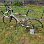 Wilier triestina koersfiets, Fietsen en Brommers, Fietsen | Racefietsen, Gebruikt, 10 tot 15 versnellingen, Heren, Ophalen