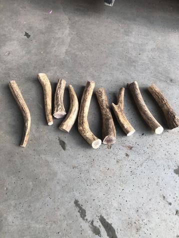 hondensnacks beschikbaar voor biedingen
