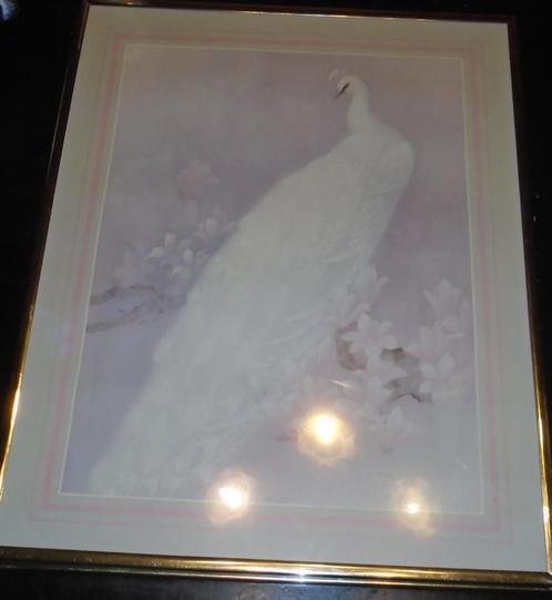 2 cadres avec une image d'oiseaux, de paon blanc, de cygnes, Antiquités & Art, Curiosités & Brocante, Envoi