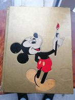 Wald Disney Encyclopedie uit 1977, Boeken, Gelezen, Ophalen of Verzenden, Los deel, Overige onderwerpen