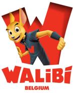 walibi 5 tickets geldig tot 5 jan 2025  25 eur /ticket, Drie personen of meer, Ticket of Toegangskaart