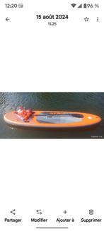 PADDLE BOARD, Enlèvement