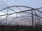 4 grote tunnels om plastiek over te trekken. Totaal 3120m2.., Ophalen, Serretuinbouw, Werkplaats, Gebouw of Erf