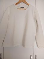 In extenso sweater, Kleding | Dames, Maat 42/44 (L), Ophalen of Verzenden, Zo goed als nieuw