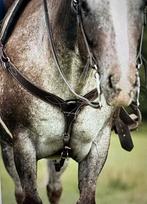 Western jachthalsband, Dieren en Toebehoren, Ophalen of Verzenden, Zo goed als nieuw, Western