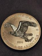 Canada , 5 Dollars 2014,Bald Eagle,1 Oz silver 999%, Zilver, Ophalen of Verzenden, Losse munt, Noord-Amerika