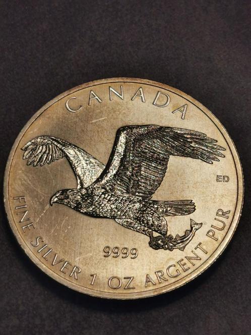 Canada , 5 Dollars 2014,Bald Eagle,1 Oz silver 999%, Postzegels en Munten, Munten | Amerika, Losse munt, Noord-Amerika, Zilver