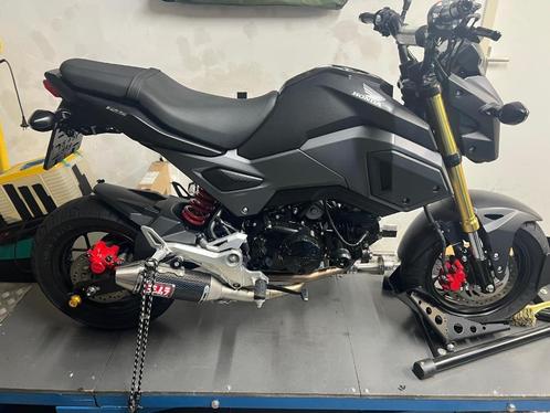 Honda MSX 125, Motoren, Motoren | Honda, Particulier, Naked bike, 11 kW of minder, 1 cilinder, Minimaal motorrijbewijs A1, ABS