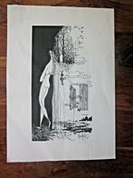 STRUELENS (Jan ?...) - Suite de cinq lithographies 1975, Antiquités & Art, Art | Lithographies & Sérigraphies, Enlèvement ou Envoi