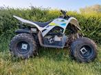 Quad zo goed als nieuw kinder quad vanaf 10 jaar + kickstart, Ophalen