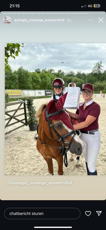 Super brave b pony te koop  beschikbaar voor biedingen