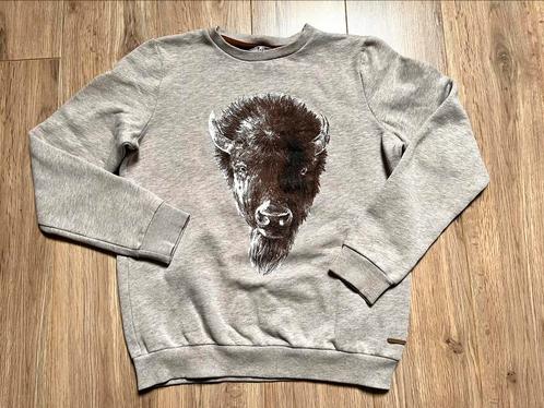 Beige sweater met bizon Fish & Chips 14 jaar - 164, Kinderen en Baby's, Kinderkleding | Maat 164, Zo goed als nieuw, Jongen, Trui of Vest
