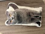 Coussin décoratif pour chat, Enlèvement ou Envoi, Comme neuf