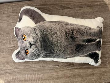Decoratief Kattenkussen beschikbaar voor biedingen