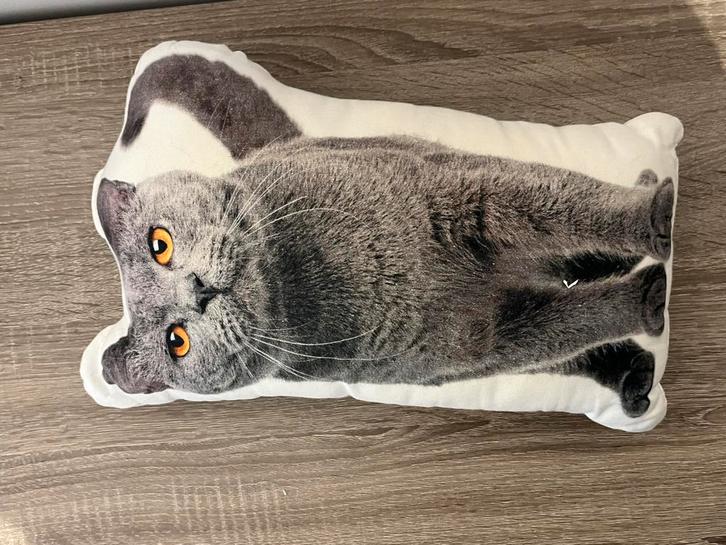 Coussin décoratif pour chat, Animaux & Accessoires, Jouets pour chats, Comme neuf, Enlèvement ou Envoi