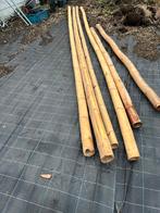 reuze bambou stokken +- 5 meter, Tuin en Terras, Ophalen, Zo goed als nieuw
