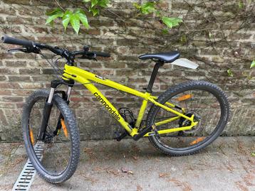 MTB/TRAIL bike  fluogeel - CANONDALE beschikbaar voor biedingen
