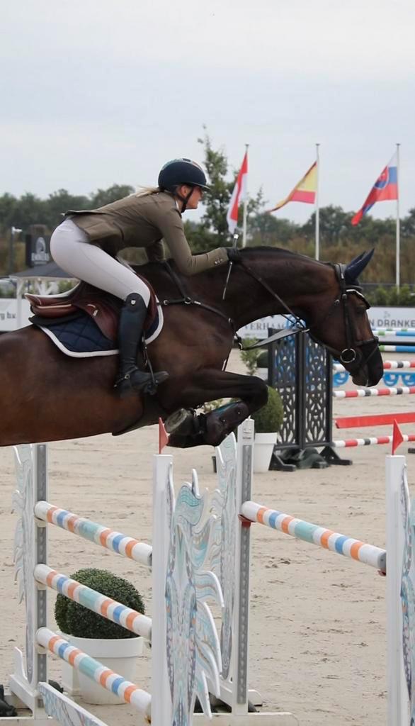 Ruiter heeft stallen vrij training, verkoop of co ownership, Dieren en Toebehoren, Paarden