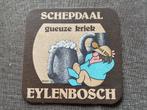 Sous-bock bière SCHEPDAAL  EYLENBOSCH, Verzamelen, Ophalen of Verzenden, Zo goed als nieuw, Viltje(s)