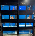 Aqaurium stelling te koop ‼️, Dieren en Toebehoren
