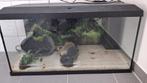 Aquarium juwel, Dieren en Toebehoren, Ophalen, Zo goed als nieuw