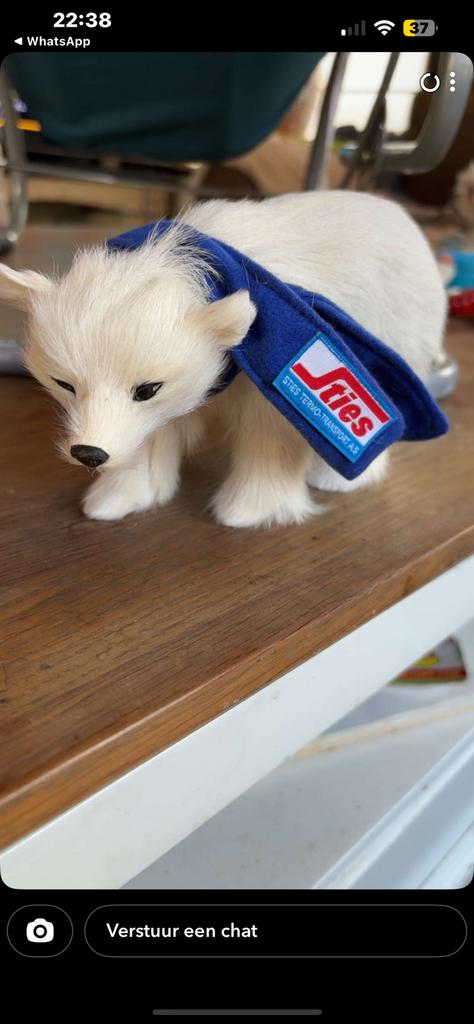 Ijsbeer met sties sjaal, Enlèvement, Comme neuf