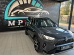 RAV 4 Plug-in-Hybrid Technik- und Style Paket, Cuir, Argent ou Gris, Achat, Euro 6