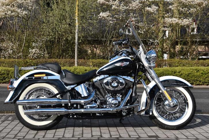 HARLEY DAVIDSON - SOFTAIL - COMME NEUF ! ! !, Motos, Motos | Harley-Davidson, Entreprise, Chopper, plus de 35 kW, 2 cylindres