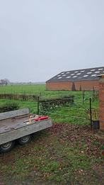 Gratis stalling, Animaux & Accessoires, Pâturage, 1 cheval ou poney