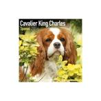 Cavalier King Charles Spaniel kalender 2016, Ophalen of Verzenden, Jaarkalender, Nieuw