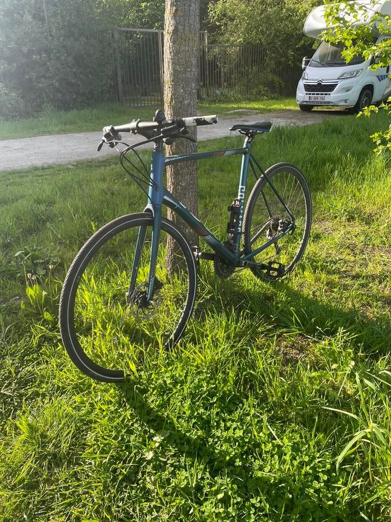 Koga colmaro sport, Ophalen of Verzenden, Nieuw