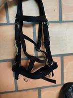 2 nieuwe hoofdstellen PONY, Ophalen, Zo goed als nieuw, Overige soorten