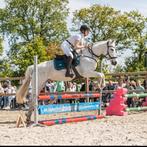 Verzorgpaard aangeboden, Dieren en Toebehoren