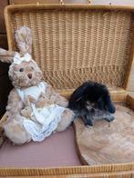 Minilop rammetje, Animaux & Accessoires, Lapins, Mâle, Nain, Oreilles tombantes, 0 à 2 ans