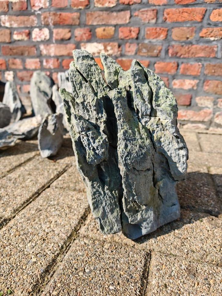 Lot complet de Pierres Seiryu Stone pour aquarium, Animaux & Accessoires, Poissons | Aquariums & Accessoires, Utilisé, Plante(s), Pierre ou Bois