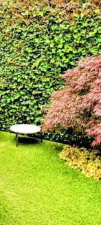 Tribu bijzettafel, Tuin en Terras, Ophalen