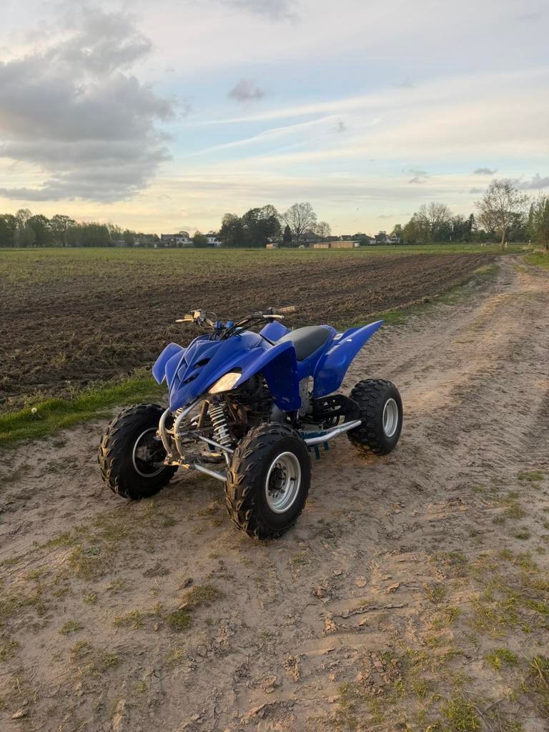 Yamaha raptor 350, 350 cc