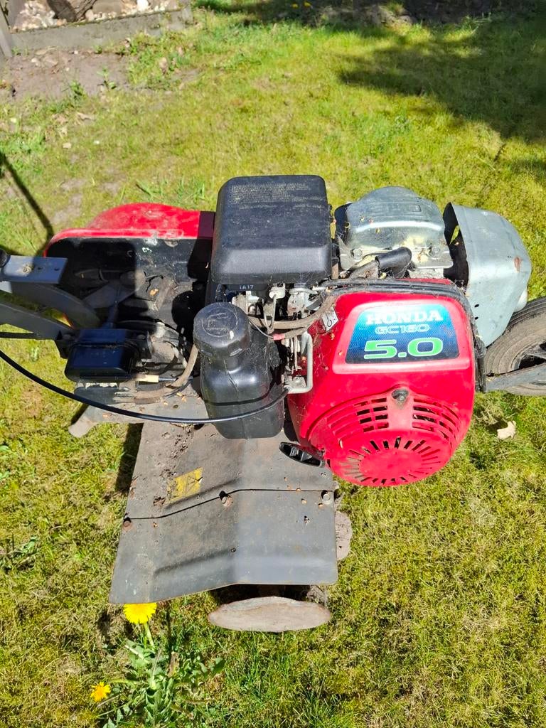 Tuinfrees Honda 5pk, Ophalen