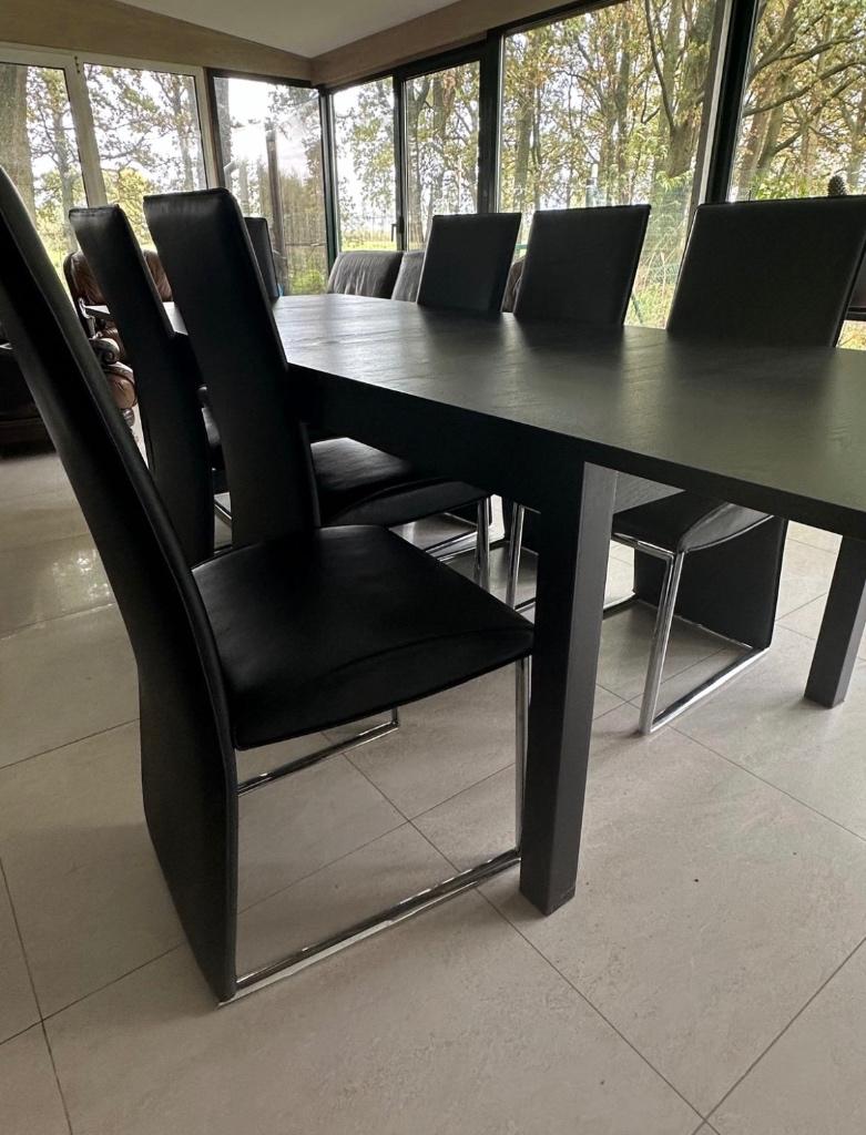 Tafel en stoelen, Enlèvement, Comme neuf, Cinq personnes ou plus, Rectangulaire