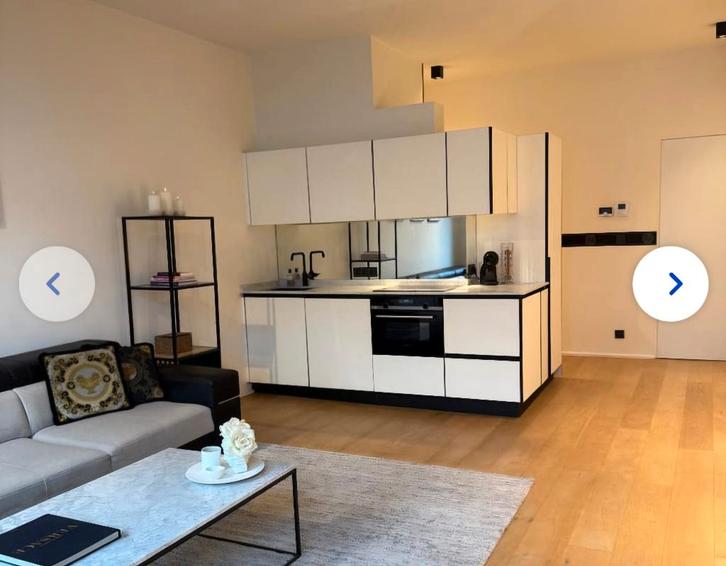 Prachtig appartement in antwerpen te koop, Immo, Huizen en Appartementen te koop, Antwerpen (stad), Appartement, Verkoop zonder makelaar