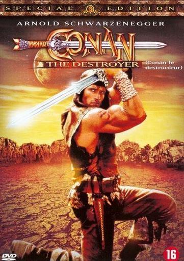 Conan the Destroyer (1984) Dvd Arnold Schwarzenegger, CD & DVD, DVD | Aventure, À partir de 16 ans, Enlèvement ou Envoi, Utilisé
