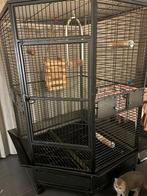 Papegaaienkooi, Ophalen, Gebruikt