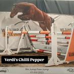 Jong springpaard met potentie, Dieren en Toebehoren, Paarden, Ruin, Springpaard