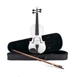 Violon utiliser quelques fois, Musique & Instruments, Enlèvement, Violon