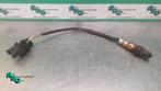 Lambda Sonde van een Alfa Romeo 156 (156 98-), Auto-onderdelen, Gebruikt, -, -, Ophalen of Verzenden