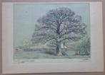 FRANK-IVO VAN DAMME / CASSENBOOM KAPELLEN  / LITHO / 46x65cm, Antiek en Kunst, Kunst | Litho's en Zeefdrukken, Ophalen of Verzenden
